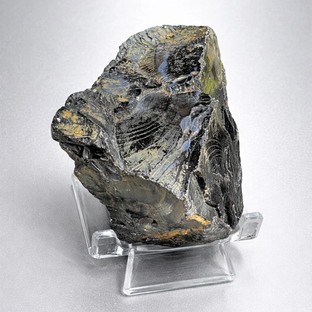 Elite Noble Shungite Raw Specimen